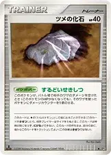 ツメの化石