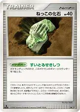 ねっこの化石
