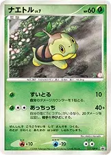 ナエトル