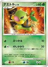 ナエトル