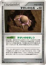 ずがいの化石