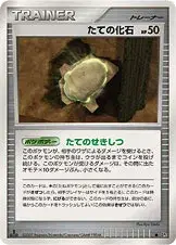 たての化石