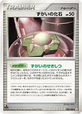 ずがいの化石