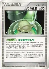 たての化石