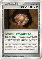 ずがいの化石