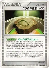 こうらの化石