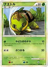 ナエトル
