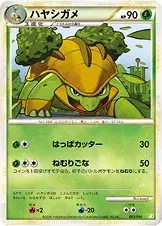 ハヤシガメ
