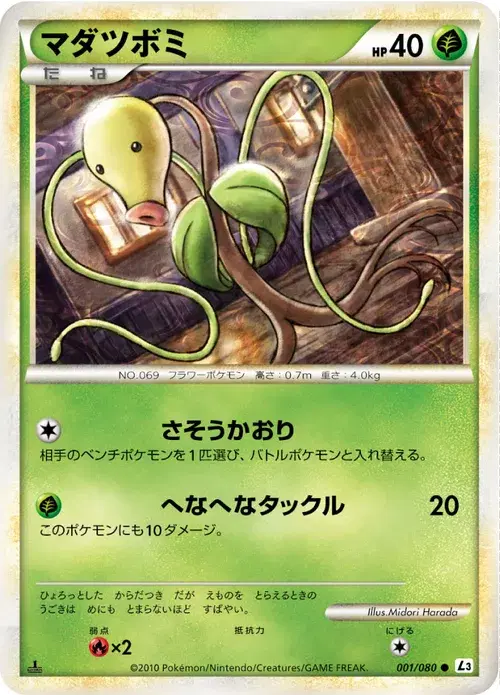 マダツボミ