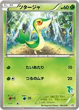 ツタージャ