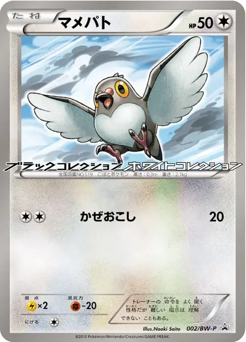 マメパト