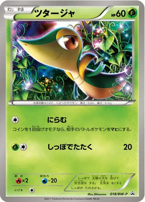 ツタージャ