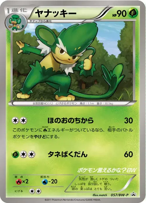 ヤナッキー