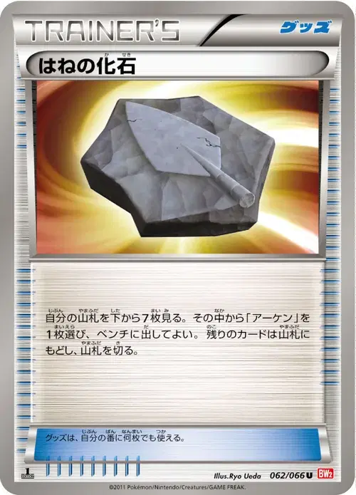はねの化石