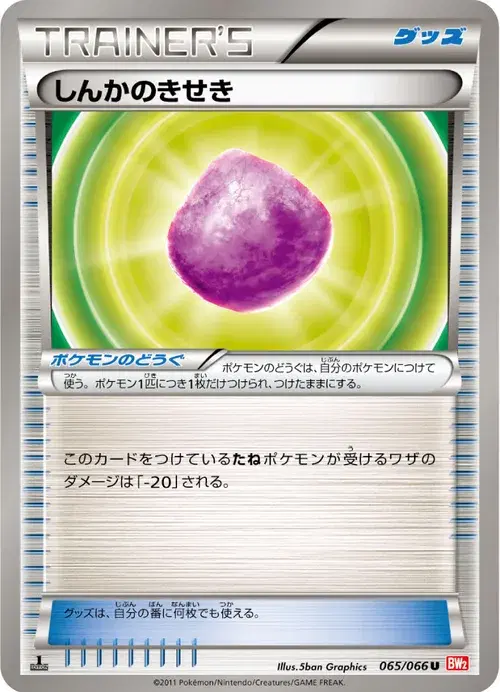 しんかのきせき