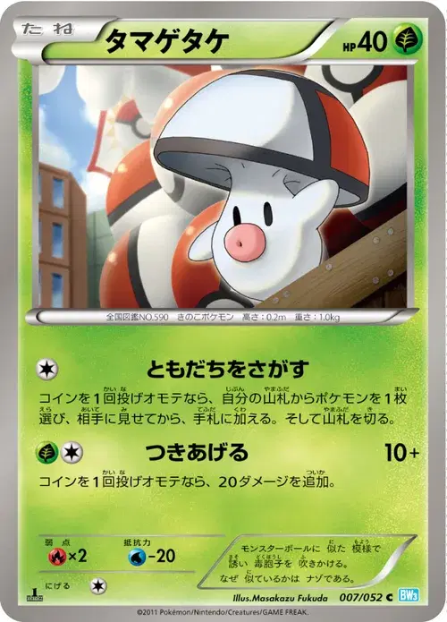 タマゲタケ