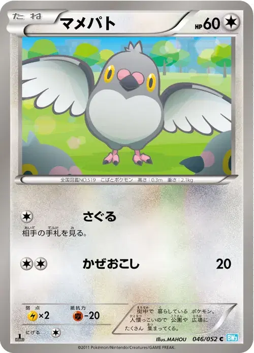 マメパト