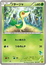 ツタージャ