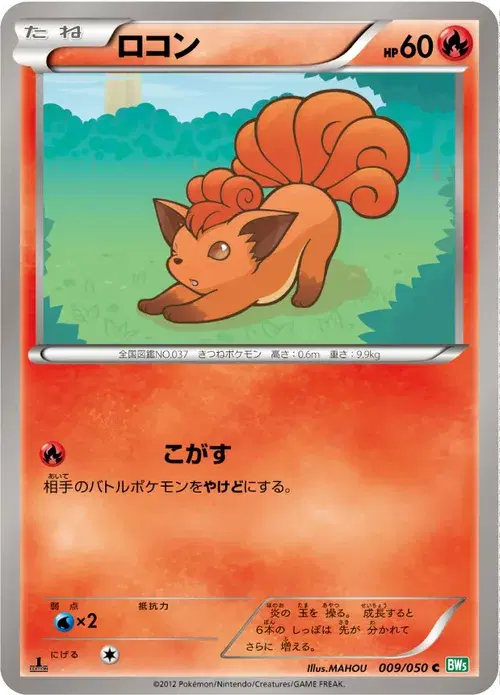 ロコン