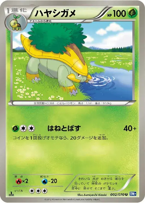 ハヤシガメ