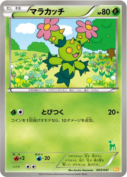 マラカッチ