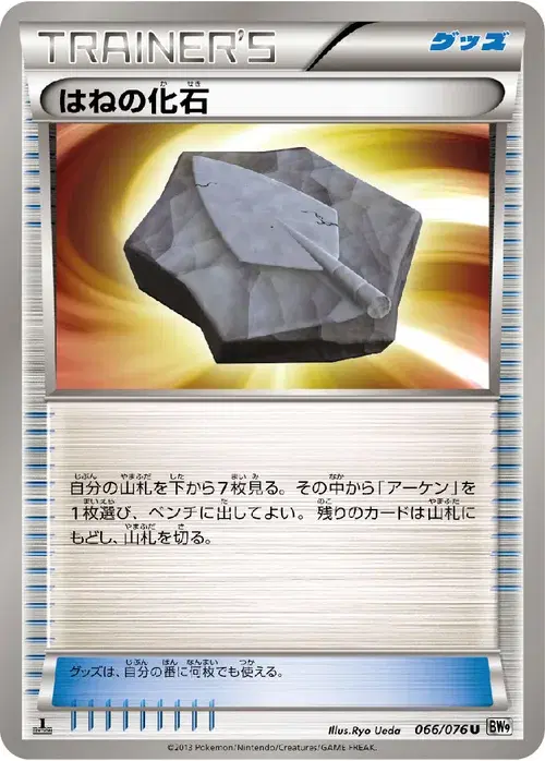 はねの化石