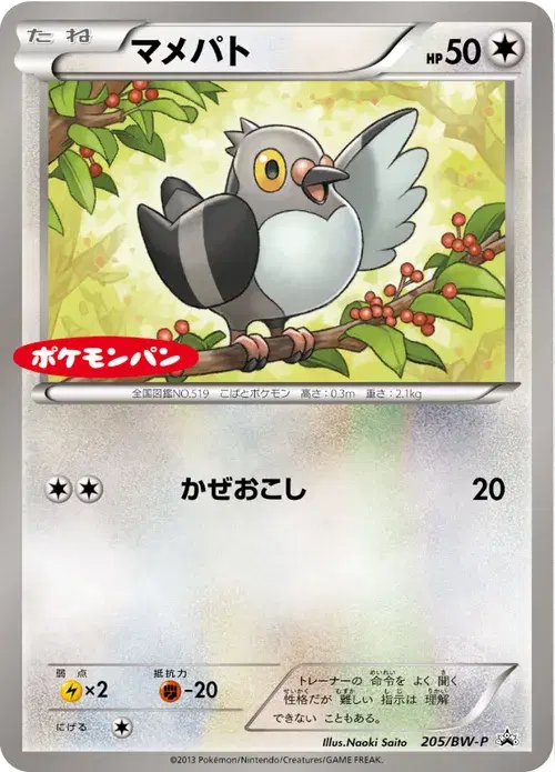 マメパト