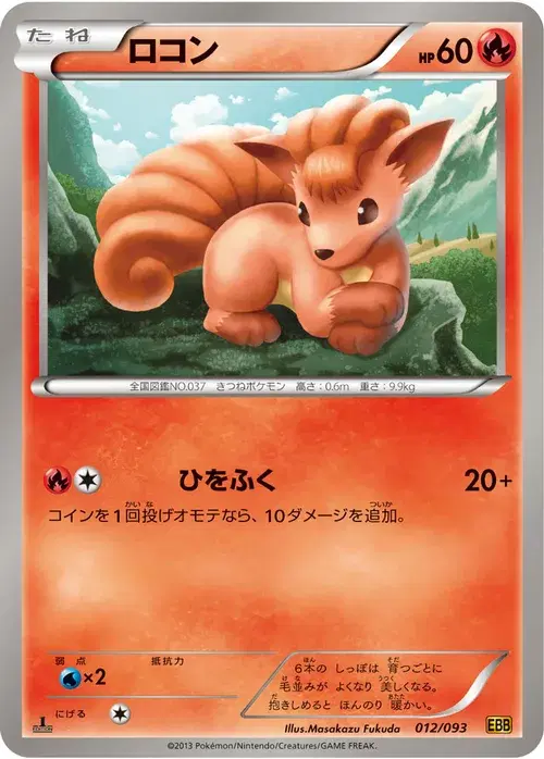 ロコン