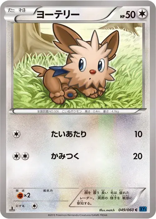 ヨーテリー