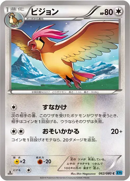 ピジョン