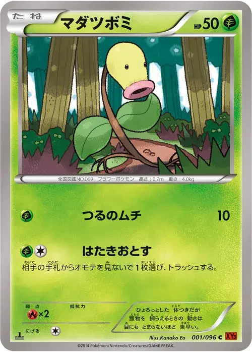 マダツボミ