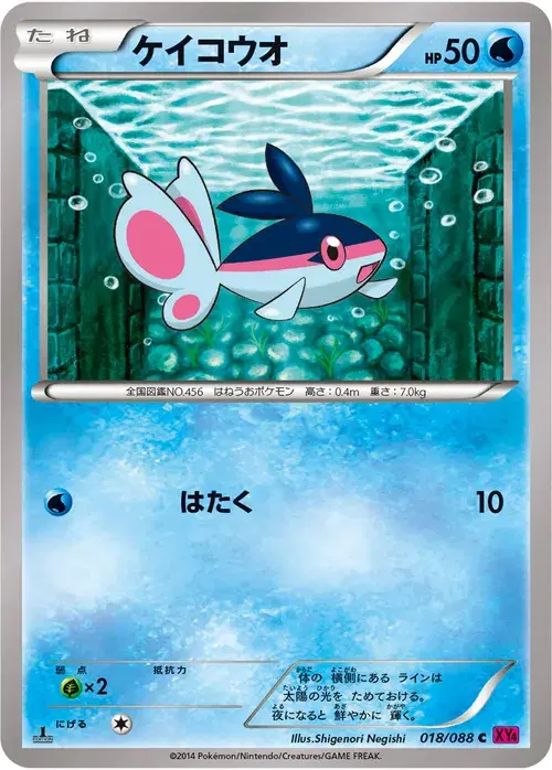 ケイコウオ