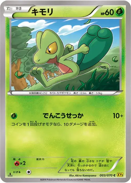 キモリ