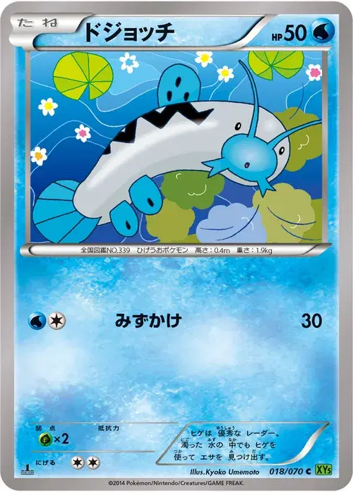 ドジョッチ