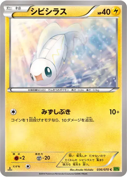 シビシラス