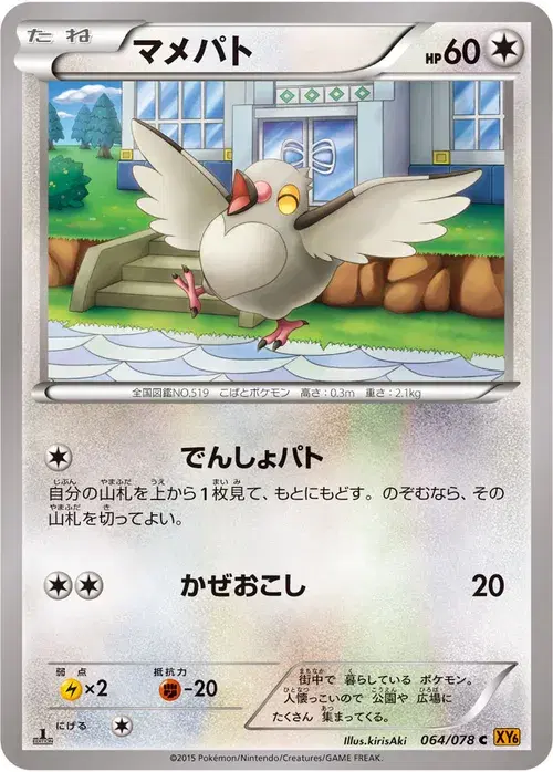 マメパト