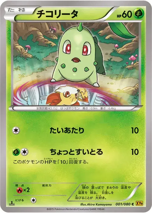 チコリータ