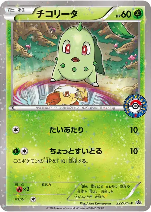 チコリータ
