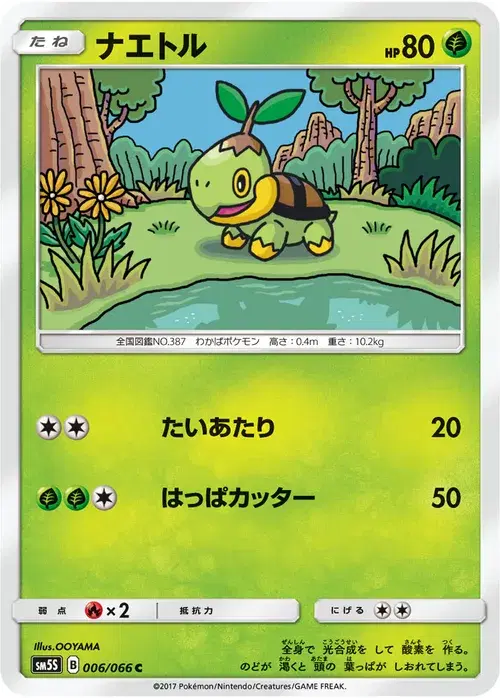 ナエトル