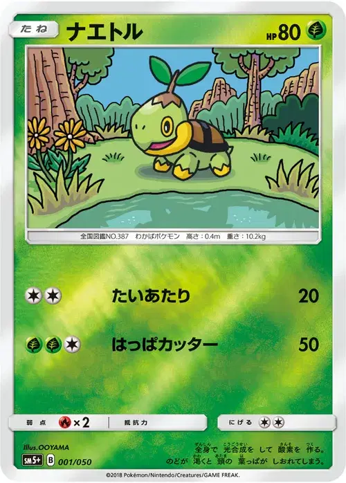 ナエトル