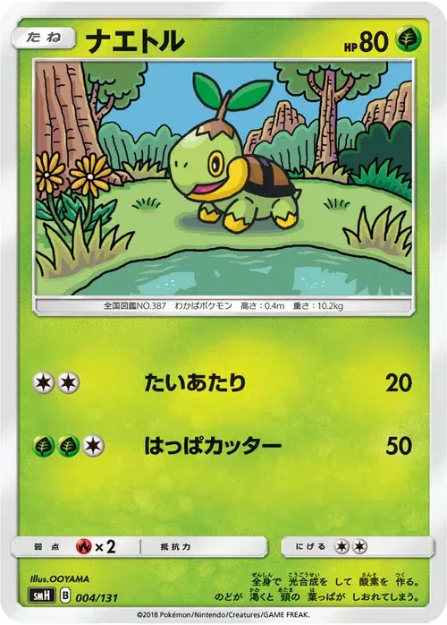 ナエトル