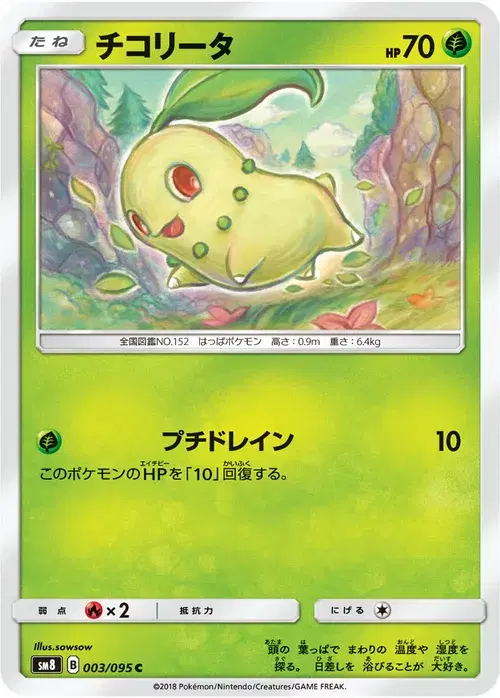 チコリータ