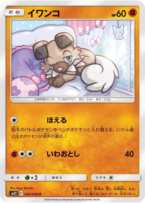 イワンコ