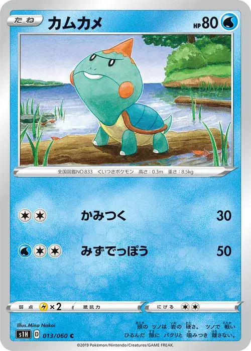 カムカメ