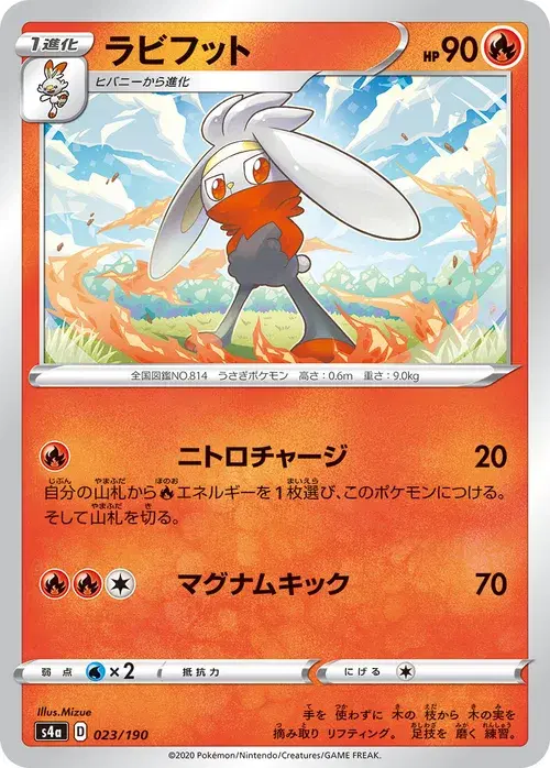 ラビフット