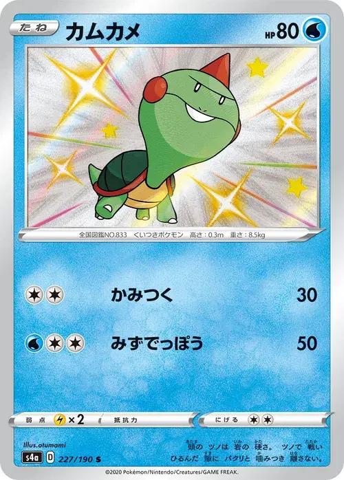カムカメ