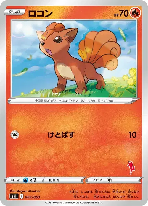 ロコン