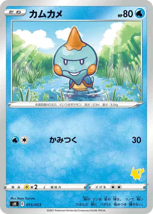 カムカメ