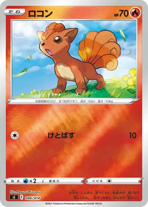 ロコン