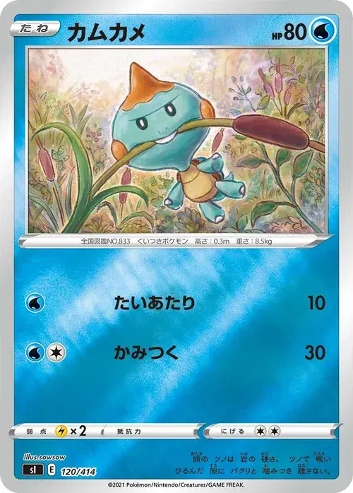 カムカメ